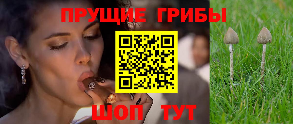 Псилоцибиновые грибы Psilocybe  Псилоцибиновые грибы мухоморы  Анжеро-Судженск  Вход с VPN 